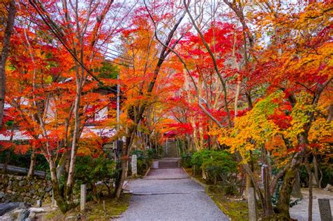 神峰山寺